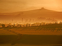 >Tuscany Vacation