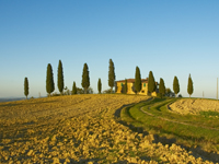 Farmhouses accommodation in Tuscany